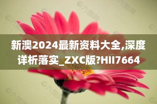 新澳2024最新资料大全,深度详析落实_ZXC版?HII7664