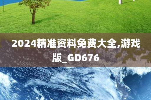 2024精准资料免费大全,游戏版_GD676