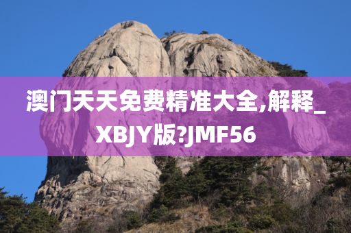 澳门天天免费精准大全,解释_XBJY版?JMF56