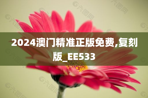 2024澳门精准正版免费,复刻版_EE533