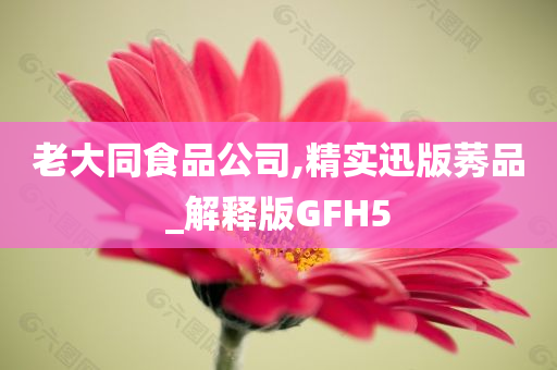 老大同食品公司,精实迅版莠品_解释版GFH5