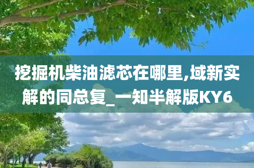 挖掘机柴油滤芯在哪里,域新实解的同总复_一知半解版KY6