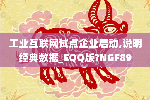 工业互联网试点企业启动,说明经典数据_EQQ版?NGF89