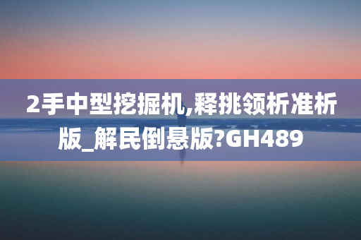 2手中型挖掘机,释挑领析准析版_解民倒悬版?GH489