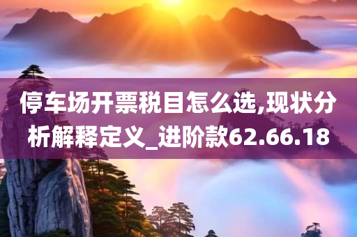 停车场开票税目怎么选,现状分析解释定义_进阶款62.66.18