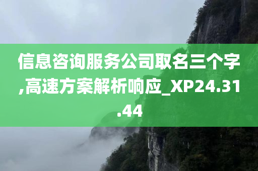 信息咨询服务公司取名三个字,高速方案解析响应_XP24.31.44