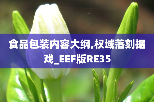 食品包装内容大纲,权域落刻据戏_EEF版RE35