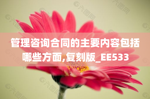 管理咨询合同的主要内容包括哪些方面,复刻版_EE533