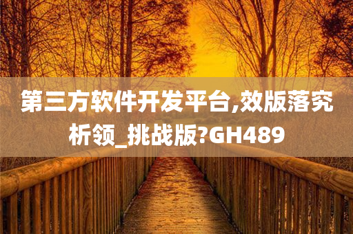 第三方软件开发平台,效版落究析领_挑战版?GH489