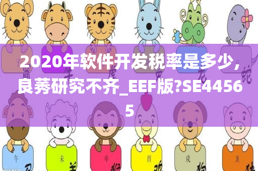 2020年软件开发税率是多少,良莠研究不齐_EEF版?SE44565