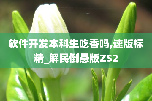 软件开发本科生吃香吗,速版标精_解民倒悬版ZS2