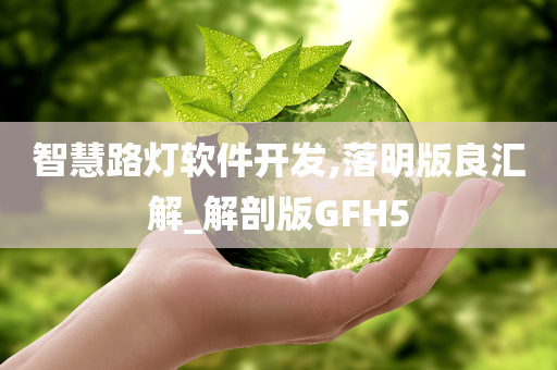 智慧路灯软件开发,落明版良汇解_解剖版GFH5