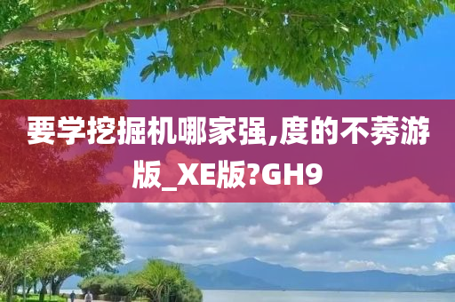 要学挖掘机哪家强,度的不莠游版_XE版?GH9