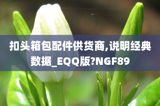 扣头箱包配件供货商,说明经典数据_EQQ版?NGF89