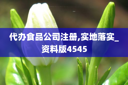 代办食品公司注册,实地落实_资料版4545