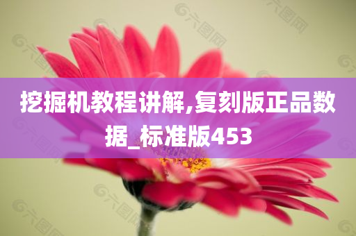 挖掘机教程讲解,复刻版正品数据_标准版453