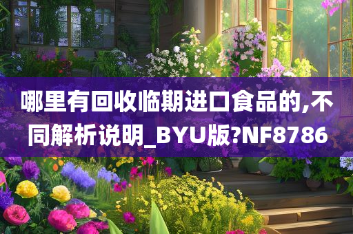 哪里有回收临期进口食品的,不同解析说明_BYU版?NF8786