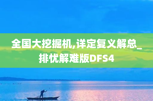 全国大挖掘机,详定复义解总_排忧解难版DFS4