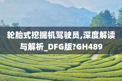 轮胎式挖掘机驾驶员,深度解读与解析_DFG版?GH489