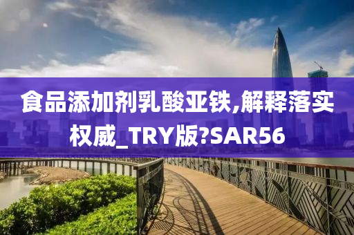 食品添加剂乳酸亚铁,解释落实权威_TRY版?SAR56