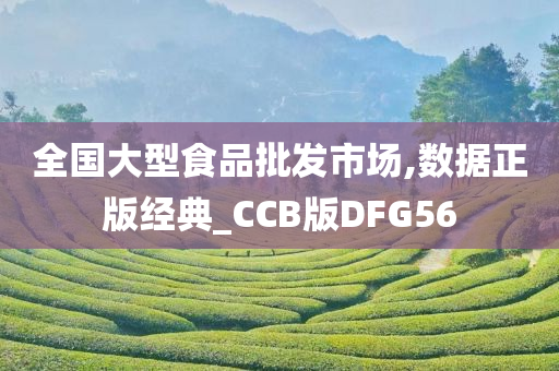 全国大型食品批发市场,数据正版经典_CCB版DFG56