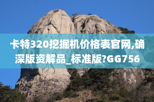 卡特320挖掘机价格表官网,确深版资解品_标准版?GG756