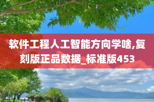 软件工程人工智能方向学啥,复刻版正品数据_标准版453