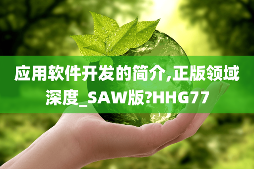 应用软件开发的简介,正版领域深度_SAW版?HHG77