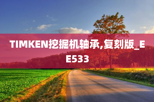 TIMKEN挖掘机轴承,复刻版_EE533