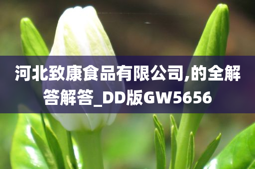 河北致康食品有限公司,的全解答解答_DD版GW5656