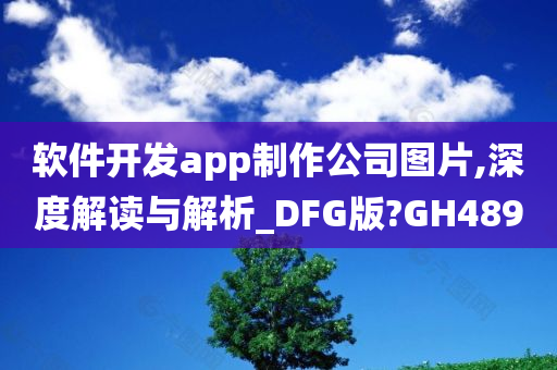 软件开发app制作公司图片,深度解读与解析_DFG版?GH489