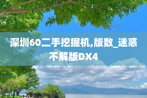 深圳60二手挖掘机,版数_迷惑不解版DX4