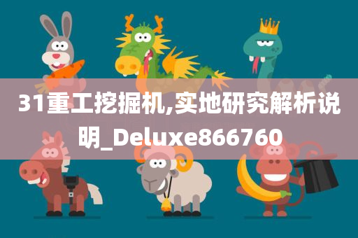 31重工挖掘机,实地研究解析说明_Deluxe866760