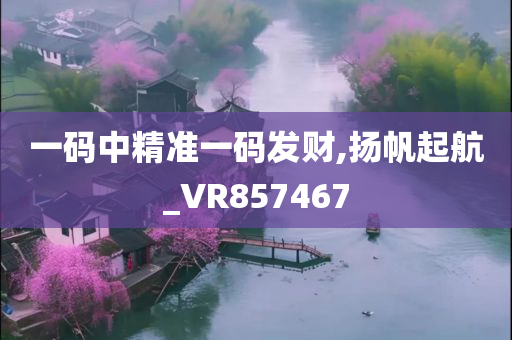 一码中精准一码发财,扬帆起航_VR857467