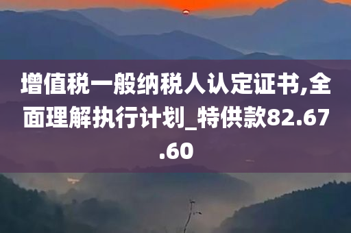 增值税一般纳税人认定证书,全面理解执行计划_特供款82.67.60