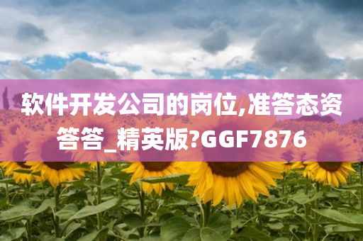 软件开发公司的岗位,准答态资答答_精英版?GGF7876