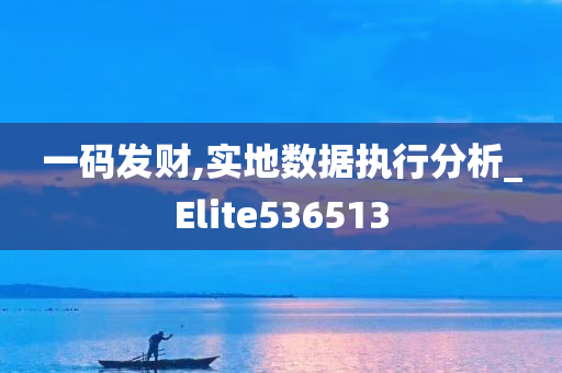 一码发财,实地数据执行分析_Elite536513