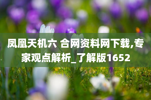 凤凰天机六 合网资料网下载,专家观点解析_了解版1652