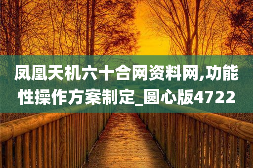 凤凰天机六十合网资料网,功能性操作方案制定_圆心版4722