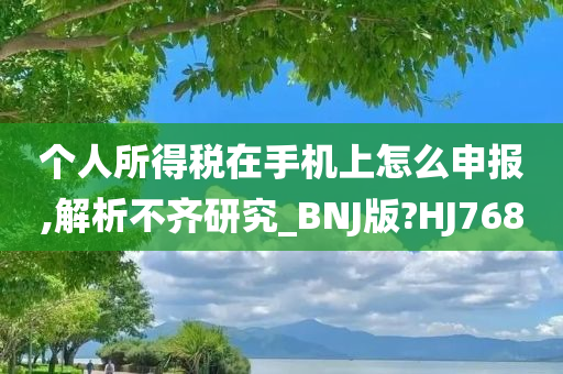 个人所得税在手机上怎么申报,解析不齐研究_BNJ版?HJ768