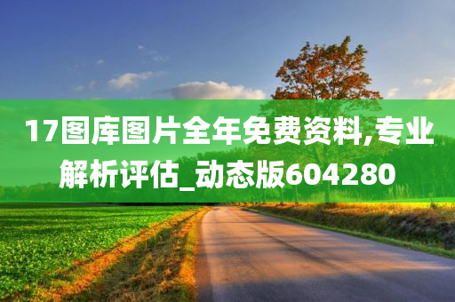 17图库图片全年免费资料,专业解析评估_动态版604280