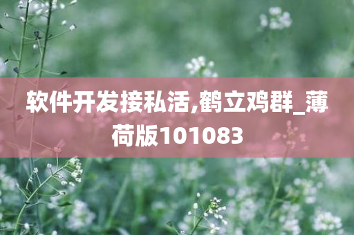 软件开发接私活,鹤立鸡群_薄荷版101083