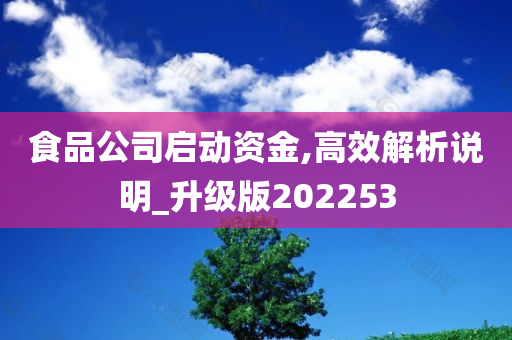 食品公司启动资金,高效解析说明_升级版202253