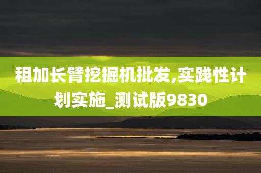 租加长臂挖掘机批发,实践性计划实施_测试版9830