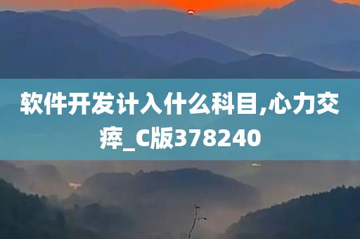 软件开发计入什么科目,心力交瘁_C版378240