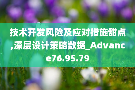 技术开发风险及应对措施甜点,深层设计策略数据_Advance76.95.79