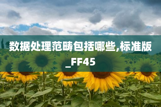 数据处理范畴包括哪些,标准版_FF45