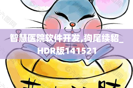 智慧医院软件开发,狗尾续貂_HDR版141521