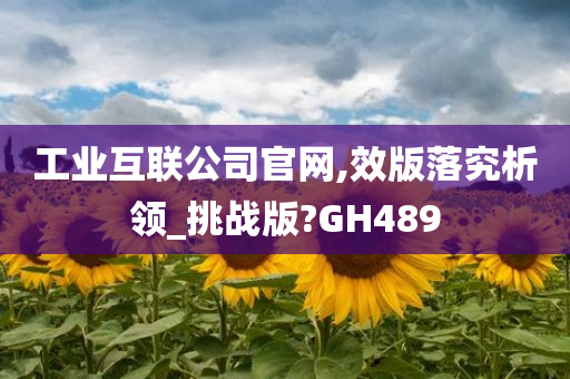 工业互联公司官网,效版落究析领_挑战版?GH489