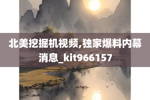 北美挖掘机视频,独家爆料内幕消息_kit966157